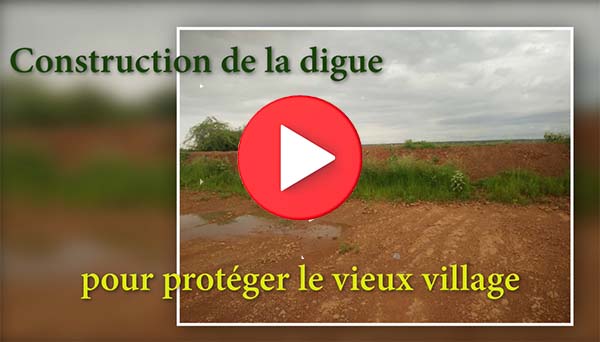 vignette-video